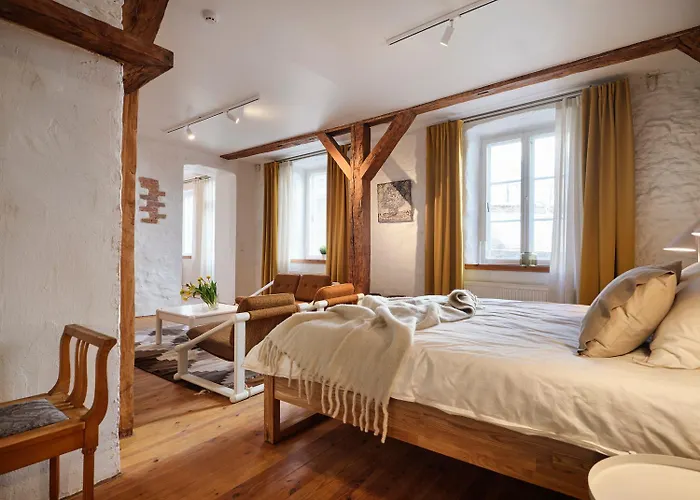 Historic Apartment With Private Garden In Old Town